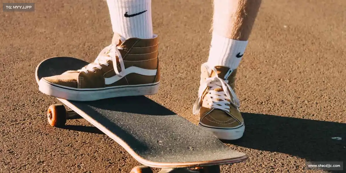 行业领先的理由